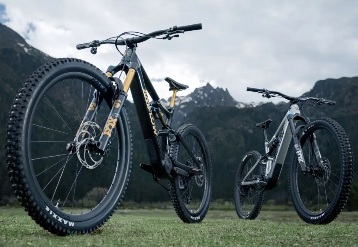 AMFLOW MOTOR AVINOX M1